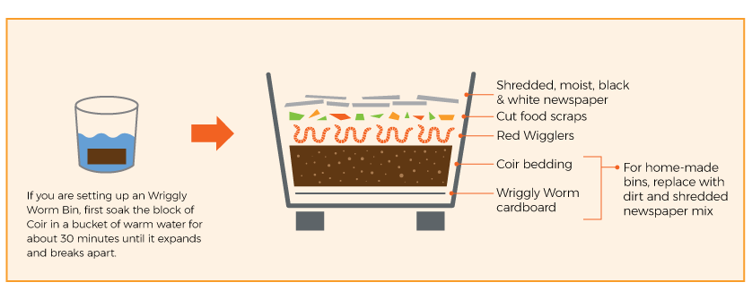 preparing compost bin graphic