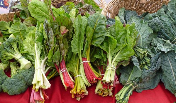 farmers market produce on table - broccoli, chard, kale