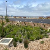 bioswale at a San Mateo County parking lot is example of green infrastructure