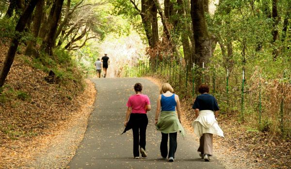 hikers walking on Crystal Springs Regional Trail in fall