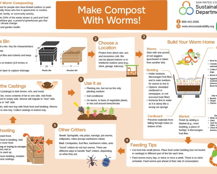 infographic of how to make compost with worms