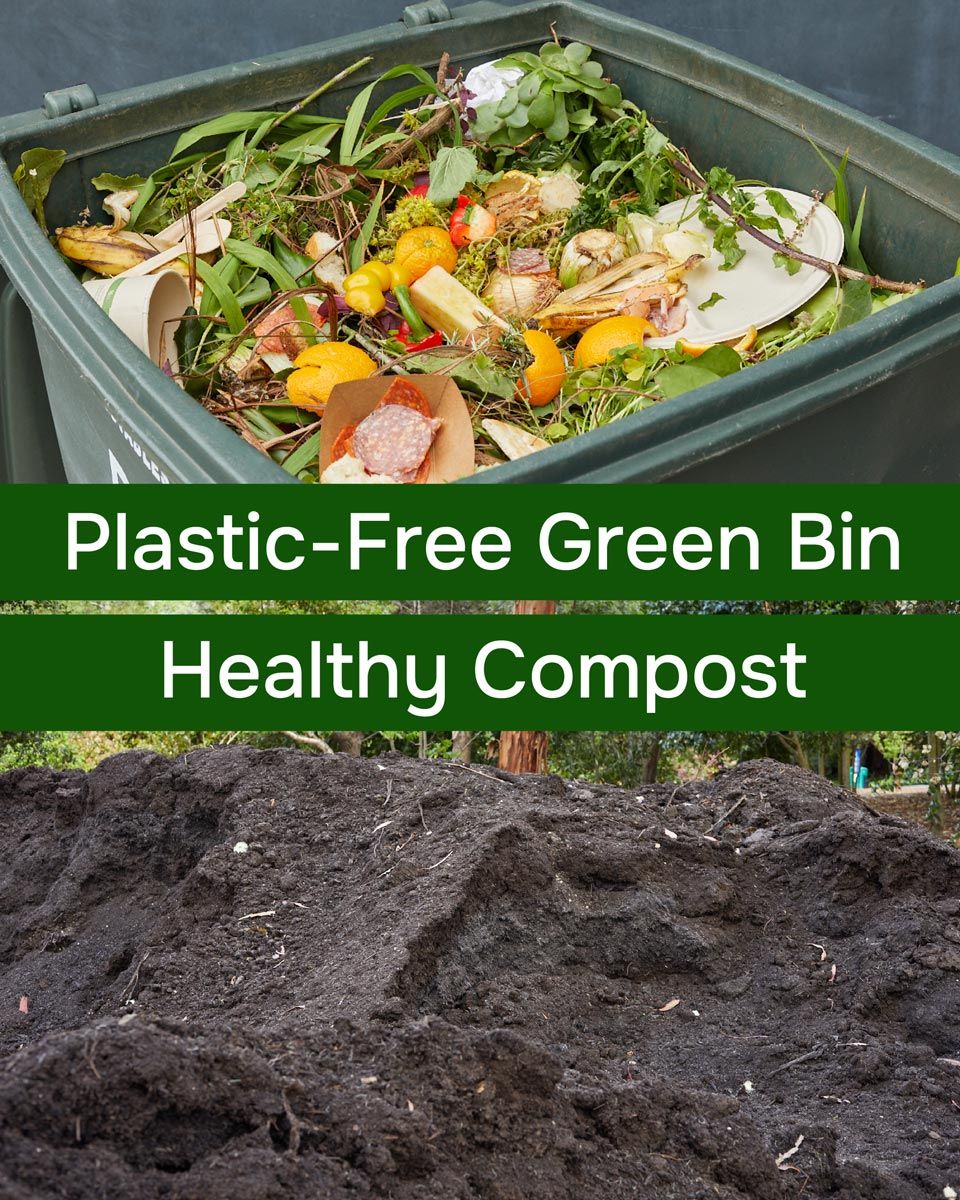 plastic-free green bin for healthy compost