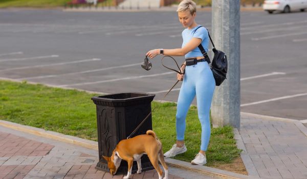 woman walking dog and putting pet waste disposal bag into trash can