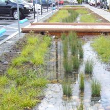 rain garden or swale green infrastructure at Donnelly Street parking lot in Burlingame