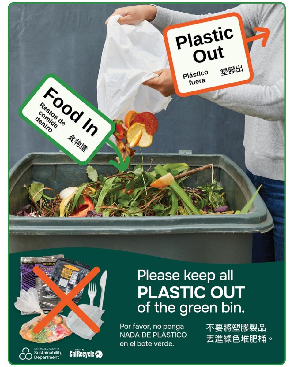 put food in green waste bin and leave plastic out
