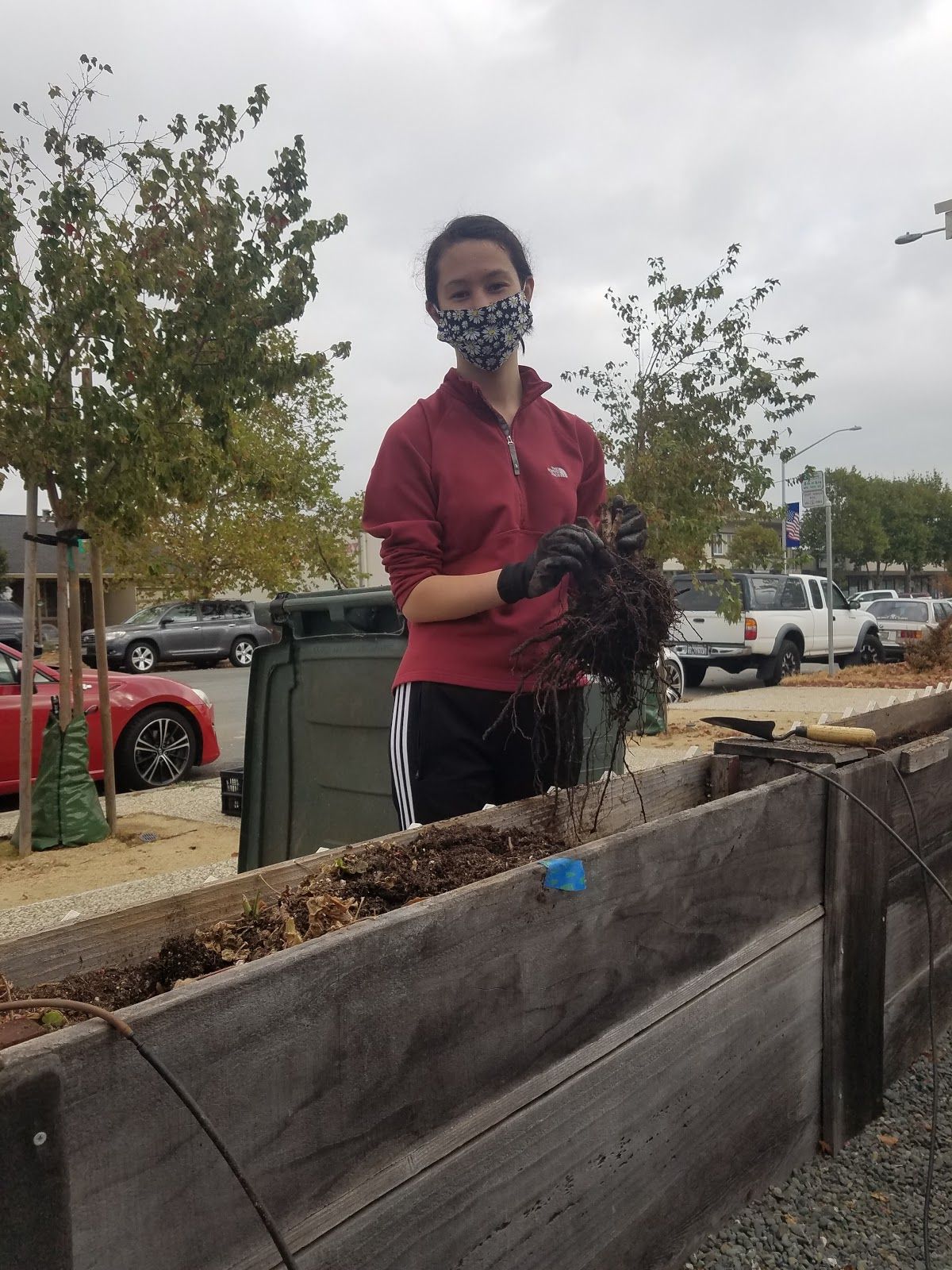 Isabel planting native plant species at a local daycare center