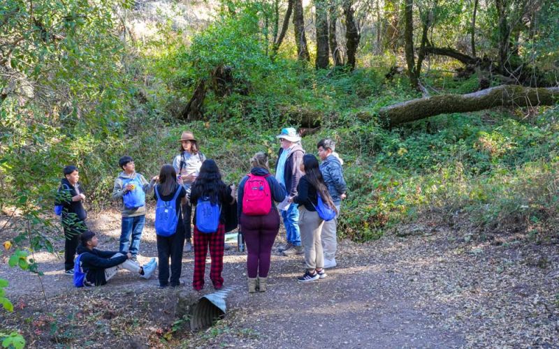 students on Youth Exploring Climate Science field trip on trail at Skyline Ridge Preserve