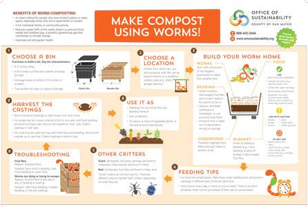 Make Compost Using Worms infographic poster