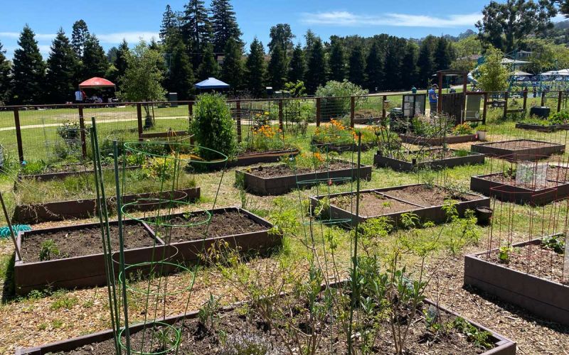 community garden with planter beds in San Mateo County