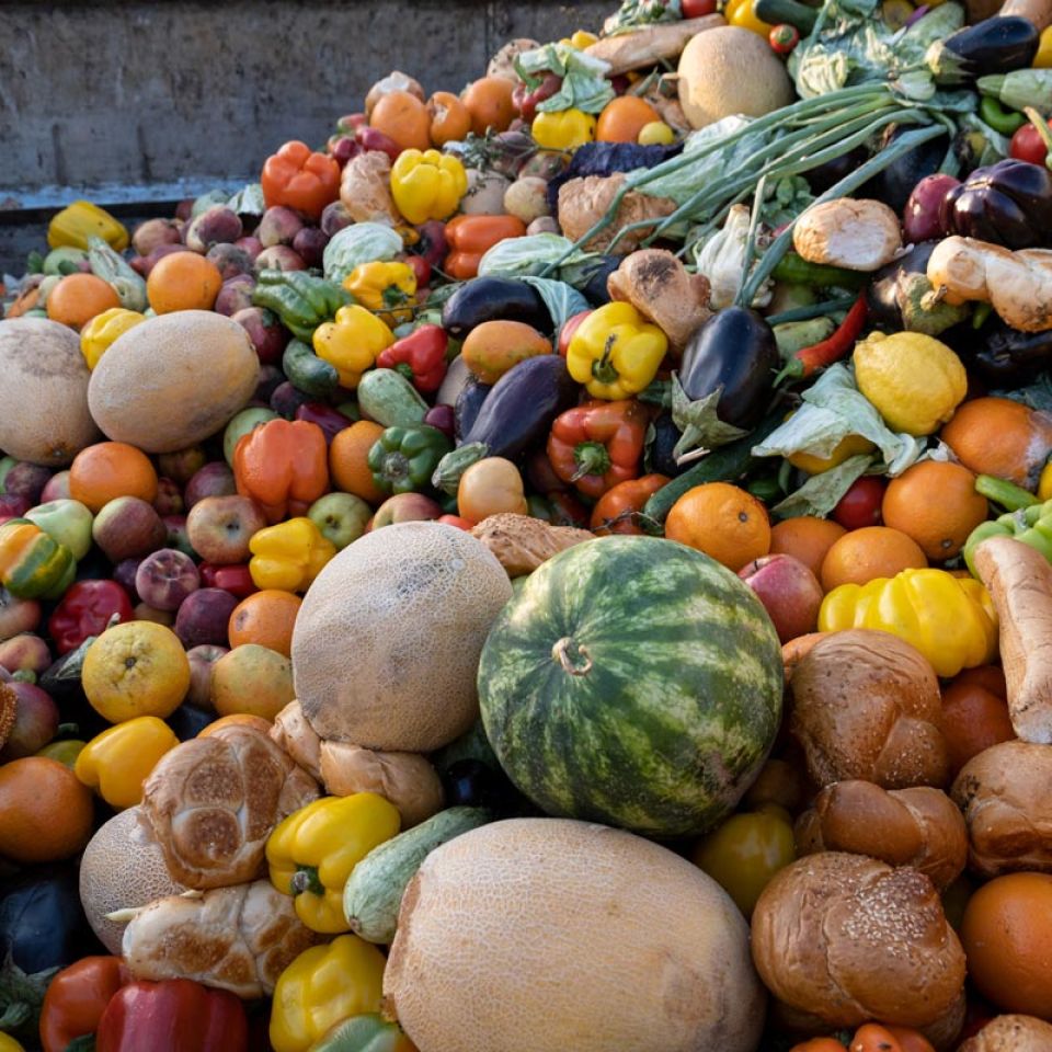 enormous mound of wasted food - bread, fruit, vegetables - in dumpster