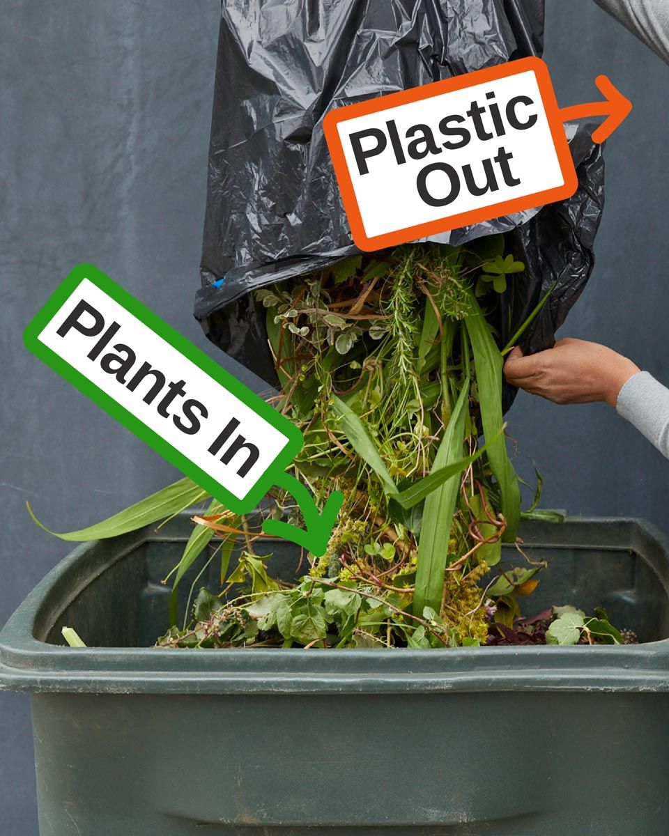 put plants in green waste bin and leave plastic out