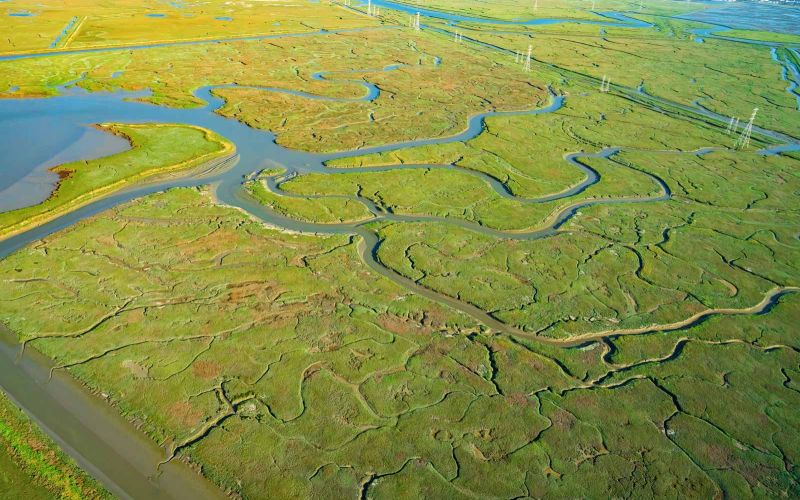 Bair Island estuary in OneShoreline sea level rise resiliency district