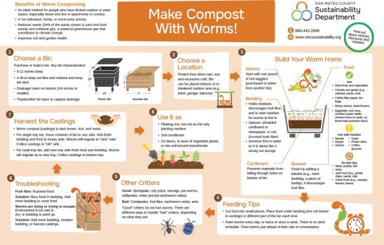 infographic of how to make compost with worms