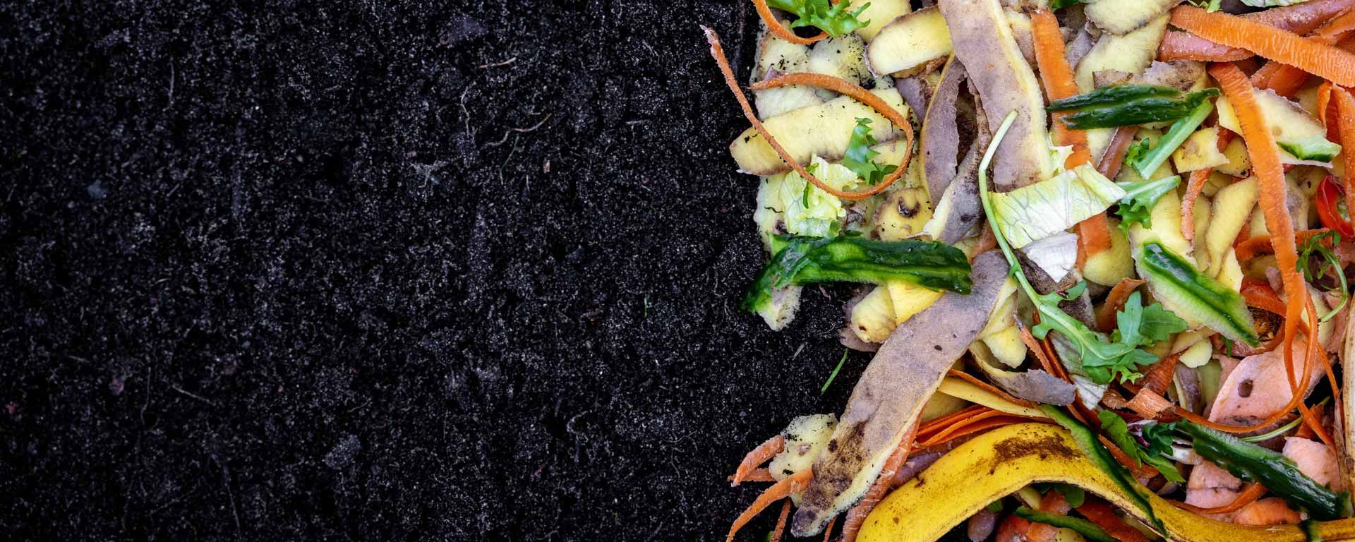 recycling organic kitchen waste into compost