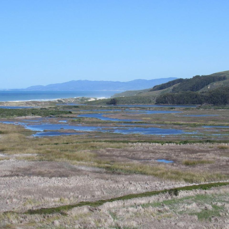 Pescadero Marsh and State Beach
