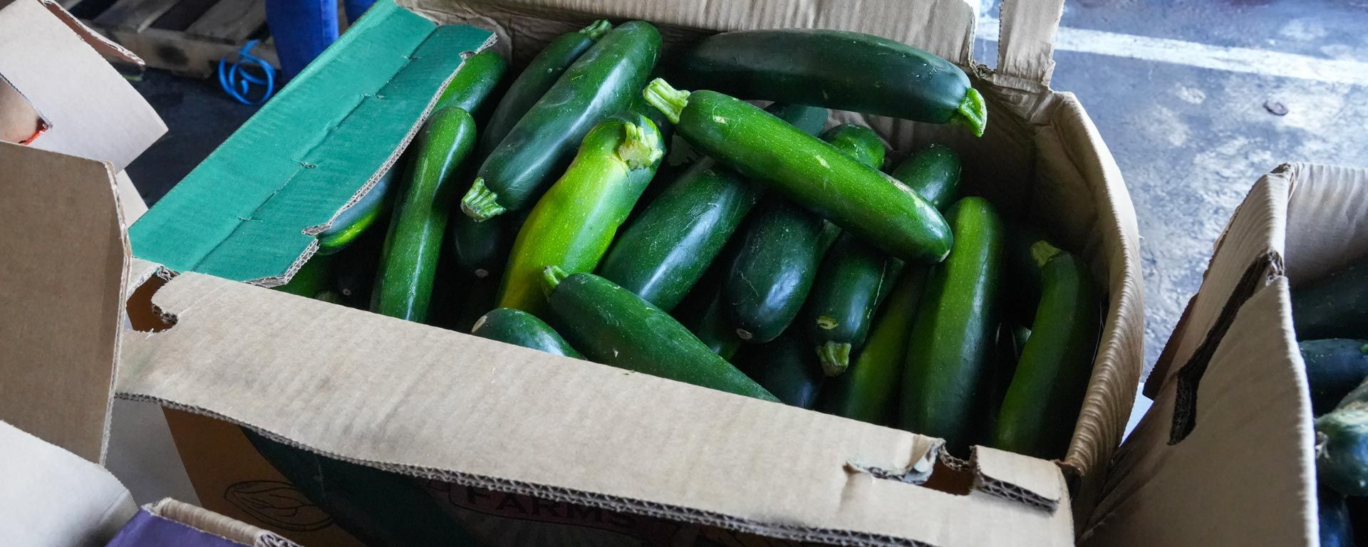 box of recovered food, zucchini, diverted from waste stream