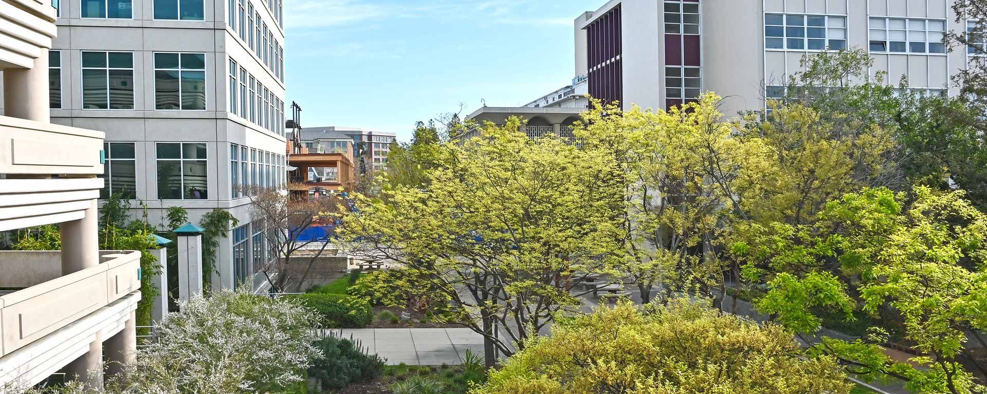 San Mateo County government center buildings and courtyard