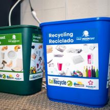 compost and recycle bins in a small business