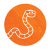 escaping worm graphic