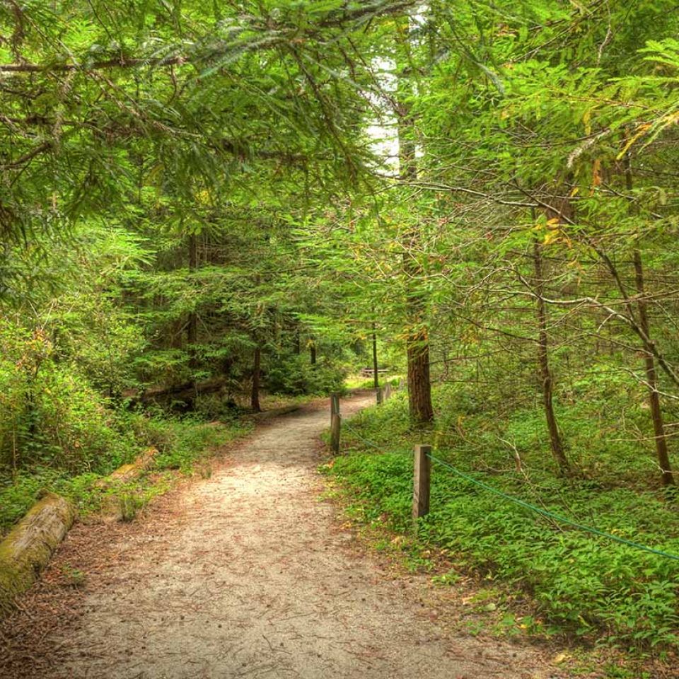 memorial-park-tan-oak-trail