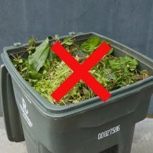 green waste bin with red X indicating no pet waste in green bin or compost