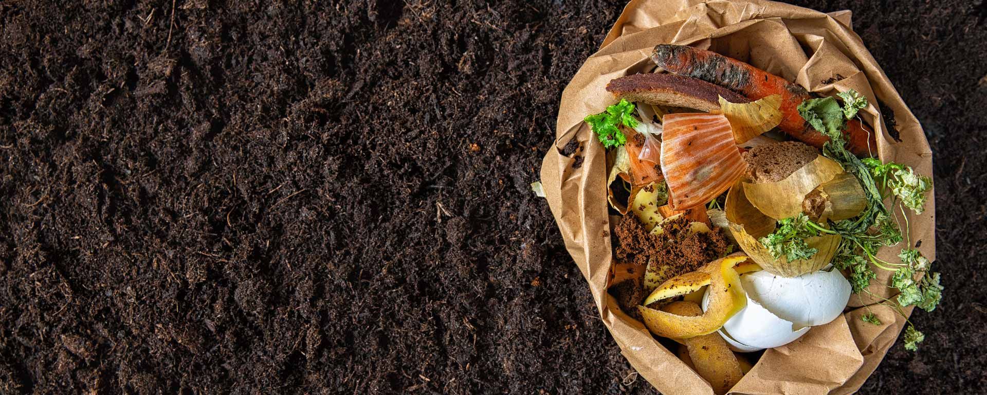 paper bag with food and kitchen scraps sitting on bed of finished compost