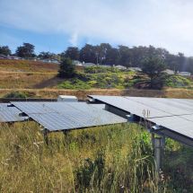 solar panels installed in an open field by a community