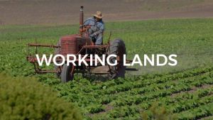 WORKING LANDS