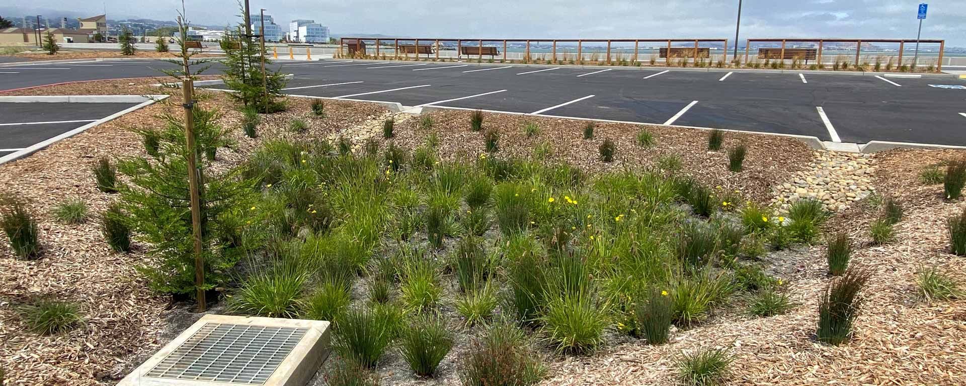 green infrastructure bioswale next to parking lot