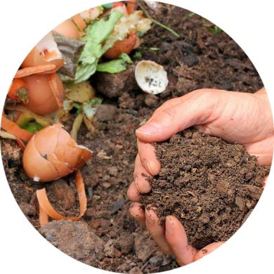 compost from kitchen waste