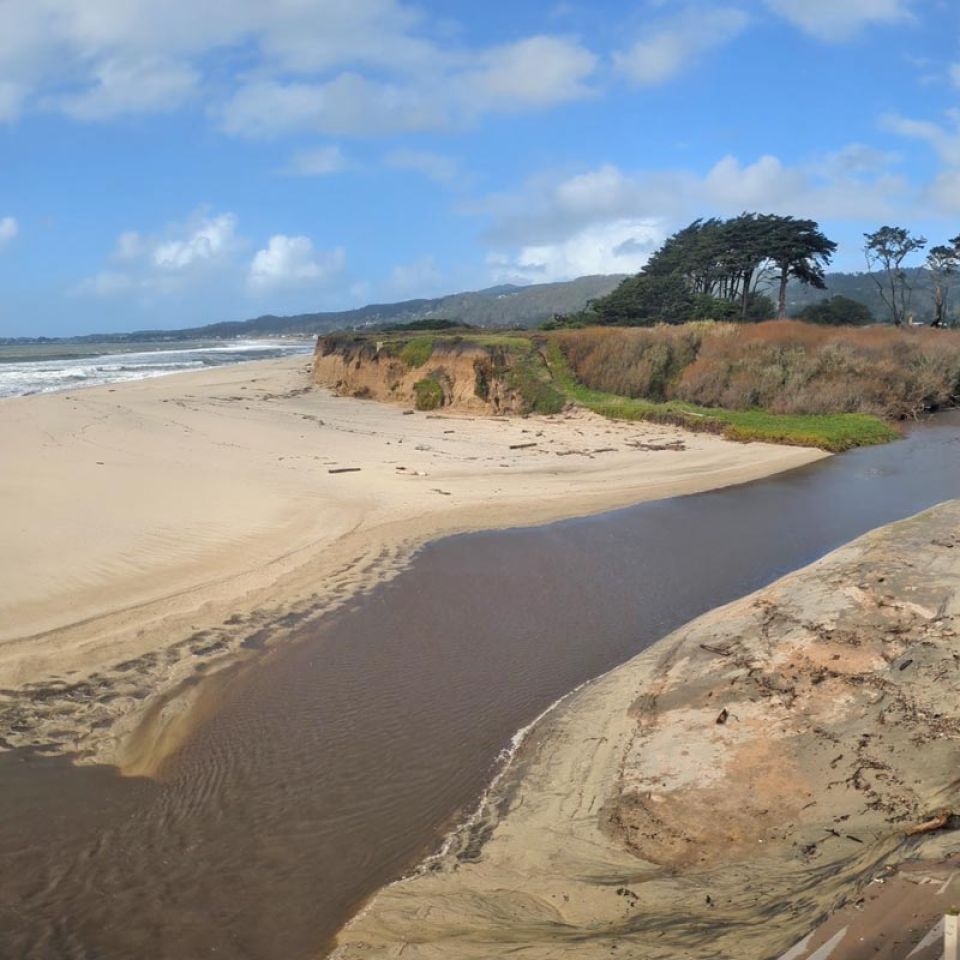 Venice Beach near Pillar Point Harbor