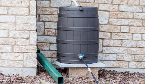 rain barrel installed outside of a home collects rain water and distributes it to drip irrigation system