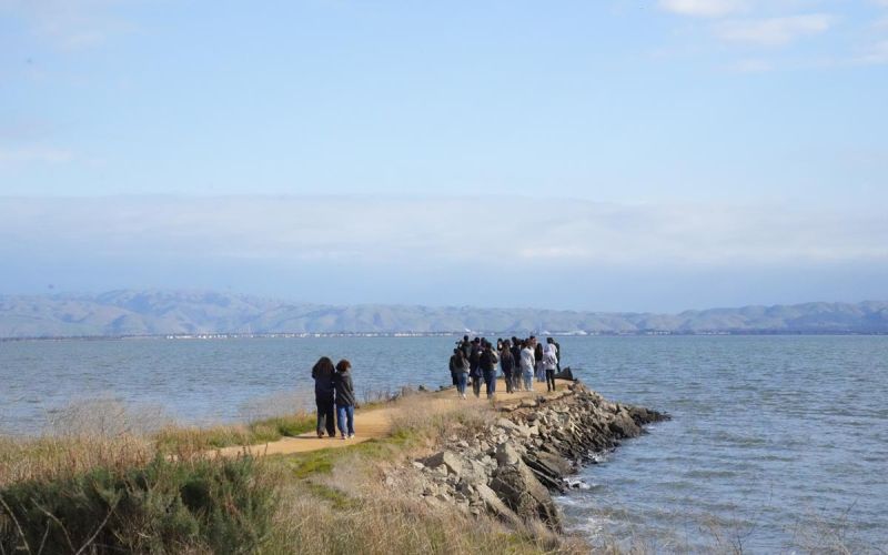high school students on field trip at Cooley Landing on San Francisco Bay studying sea level rise science