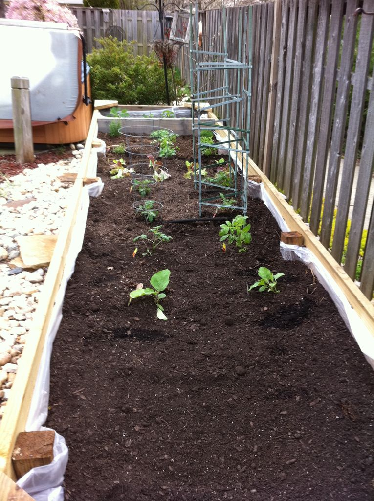 Garden bed installed at school