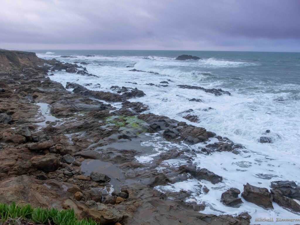 Bean Hollow high tide