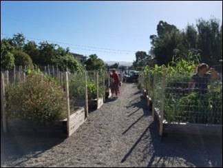 San Mateo County community garden