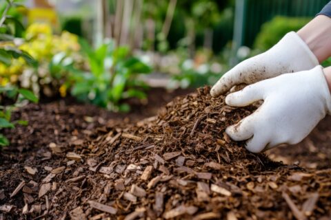 Mulch application photo