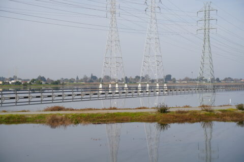 Image of high tide near two telephone pools in front of a shoreside neighborhood.