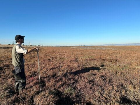 Vector Control Technician Evan, from San Mateo County Mosquito & Vector Control District, overlooks Faber Marsh in East Palo Alto.
