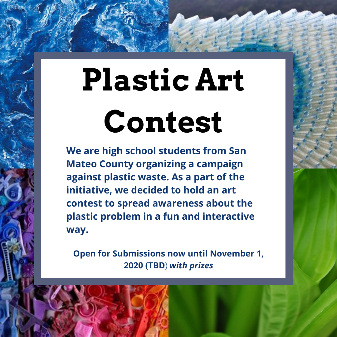 Plastic Waste Art Contest