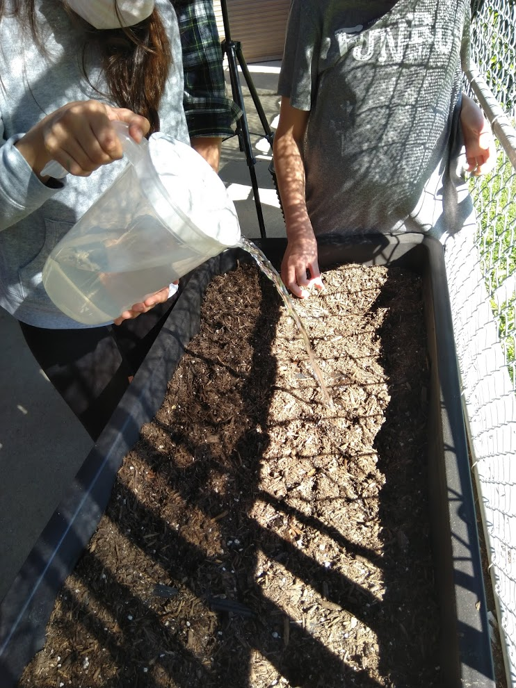 Planting Seeds During A Workshop