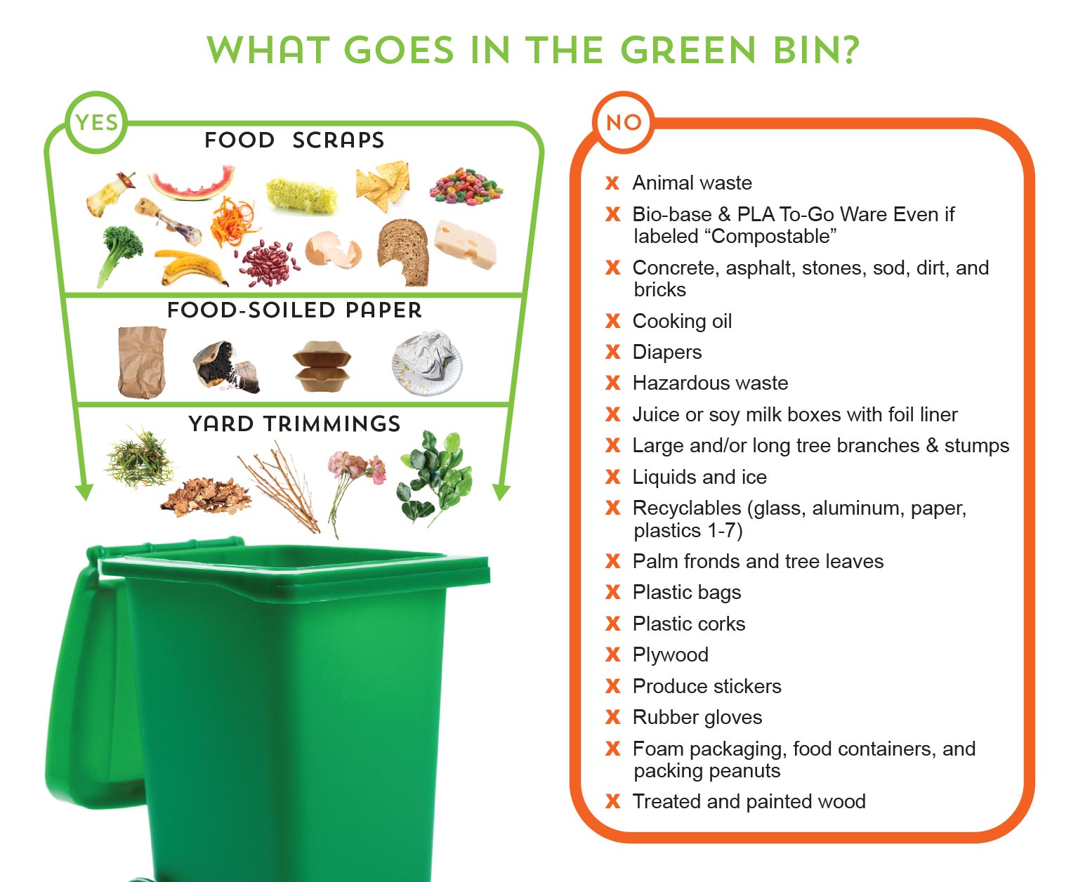 What goes in the green bin? Food Scraps, Food-soiled Paper, Yard Trimmings