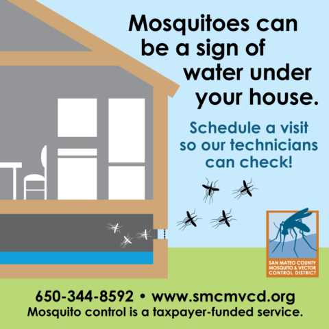 Graphic: Mosquitoes can be a sign of water under your house.