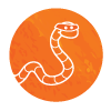 escaping worm graphic