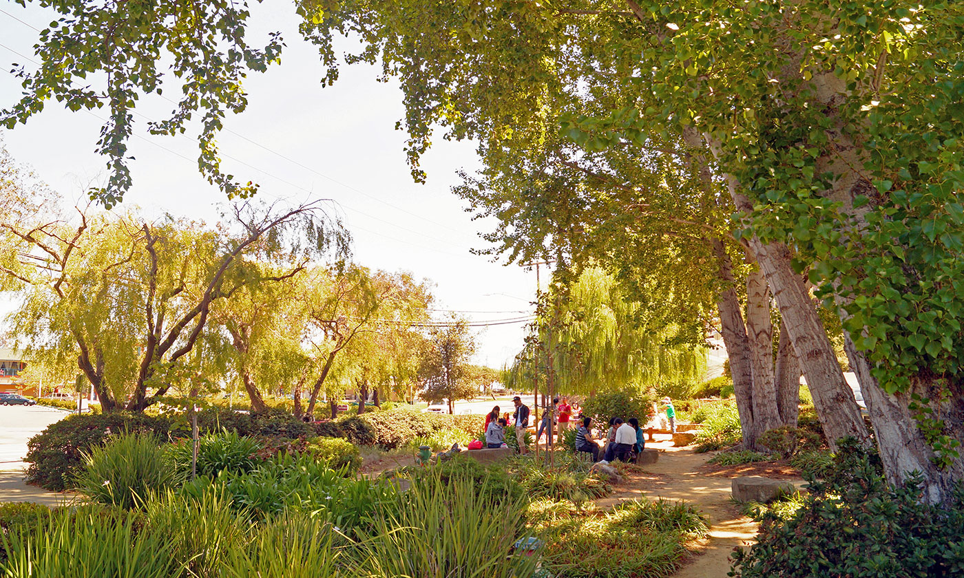 Family gathering in local park