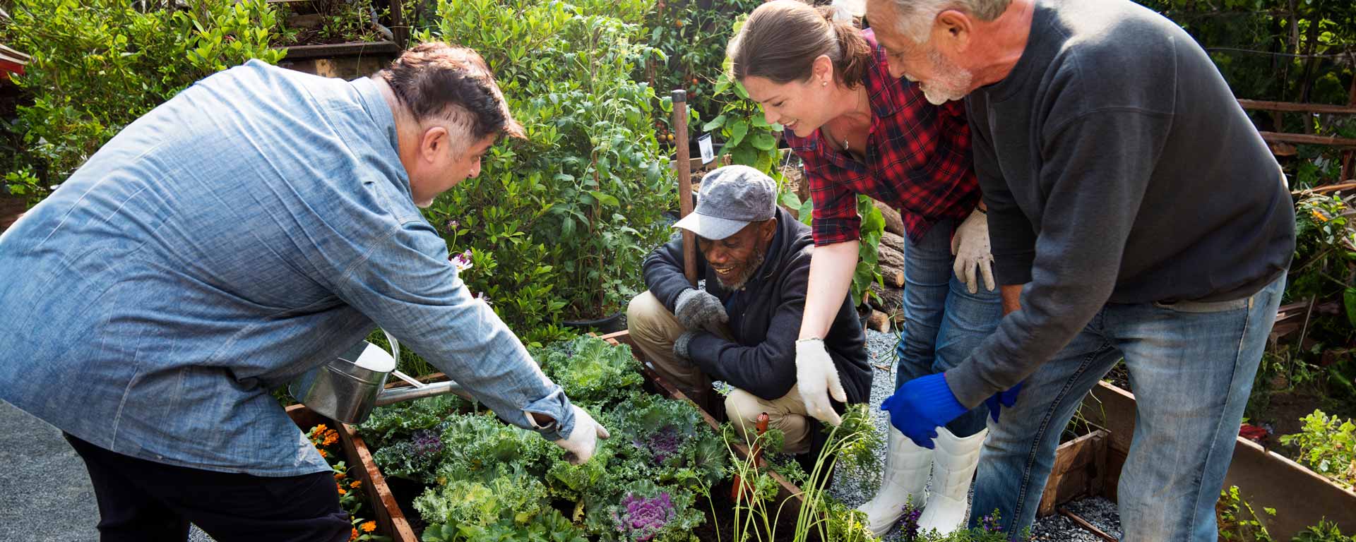 four community members looking at a community garden planter bed