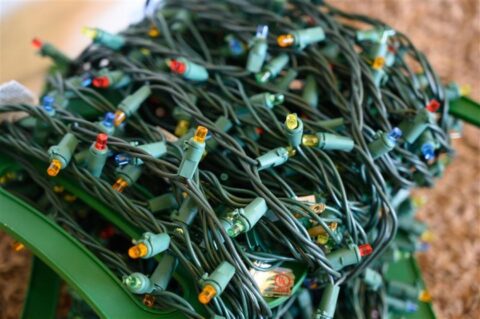 Bundle of holiday lights.