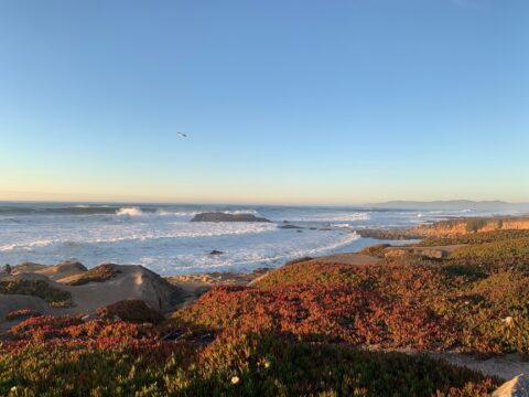 Coastside shoreline during sunset